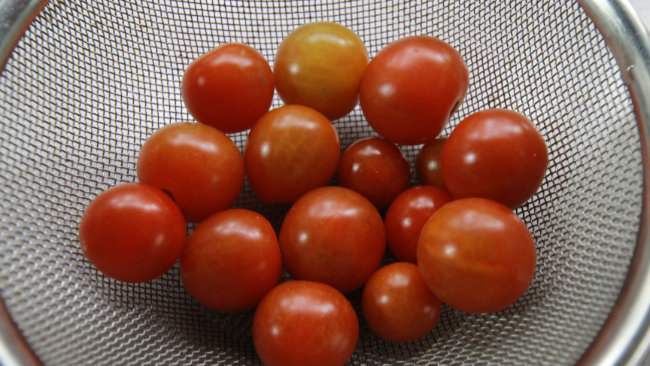 赤いミニトマト